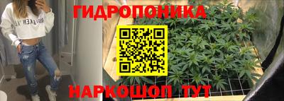ALPHA PVP Кунгур