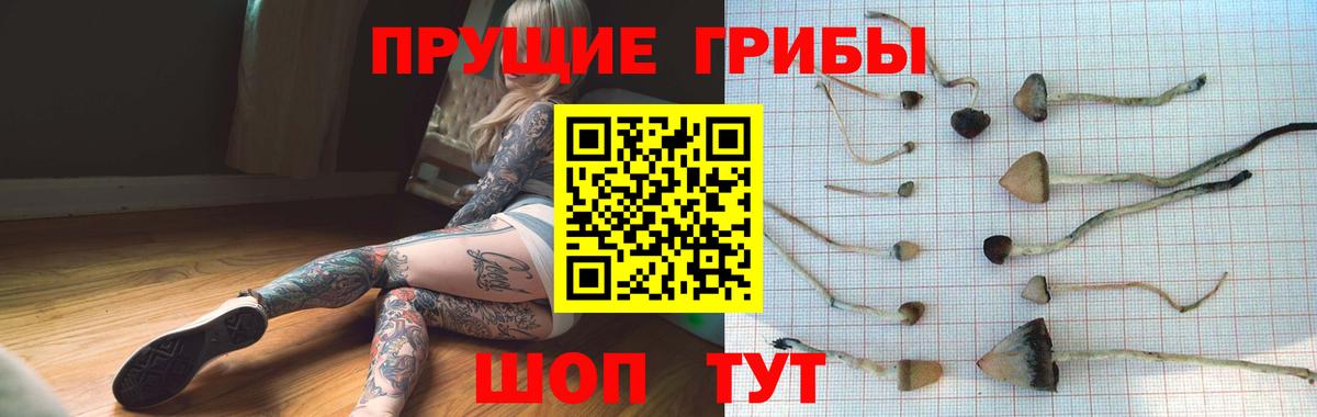 Донской  Галлюциногенные грибы Cubensis  что такое   Вход с VPN 